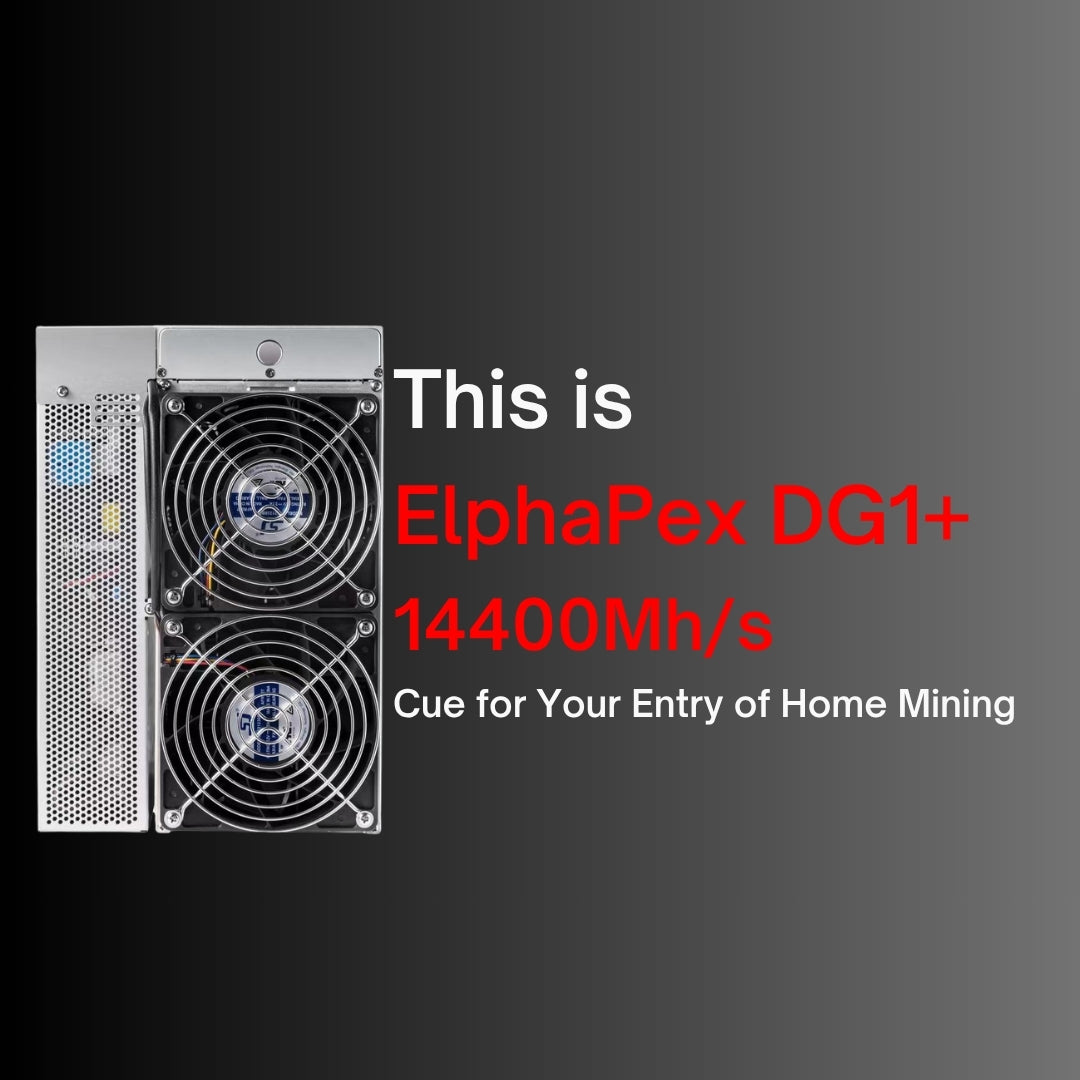ElphaPex DG1+ Dogecoin Miner